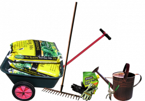 image Gardening tools and equipment