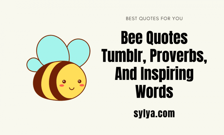 Bee Quotes Tumblr, Proverbs, And Inspiring Words
