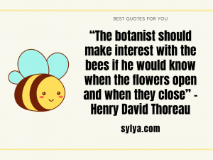 Famous bee quotes