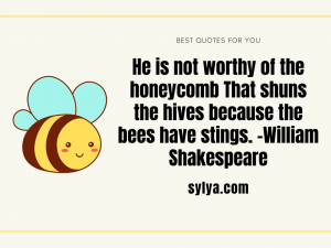Best bee quotes