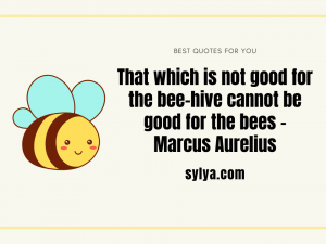 Bee quotes and sayings