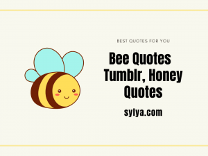Bee Quotes Tumblr, Proverbs, And Inspiring Words