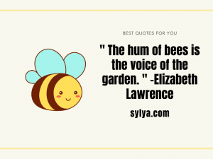 Bee Quotes Tumblr