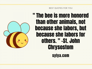 famous and funny bee quotes