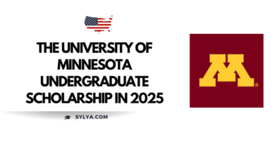 The University of Minnesota Undergraduate Scholarship in 2025