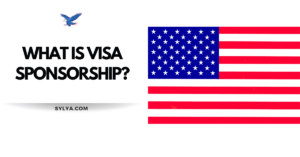 Visa Sponsorship Jobs in USA