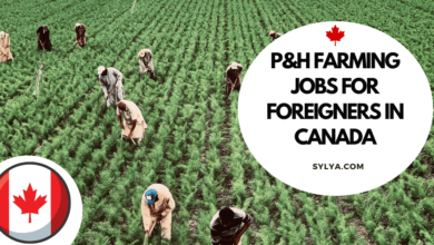 P&H farming jobs for foreigners in Canada