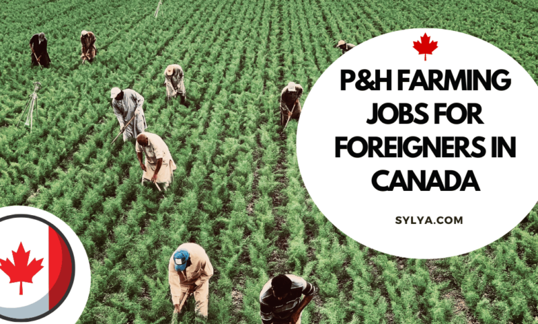 P&H farming jobs for foreigners in Canada